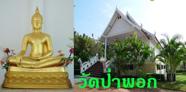 นี่ก็ป่า